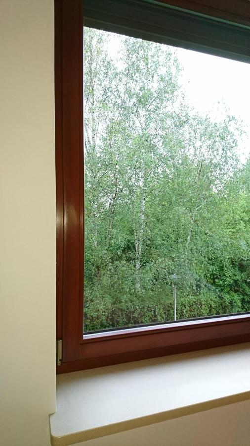Quiet And Spacious With Garage Option Apartment *